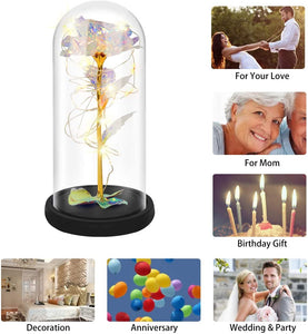 Rose That Lasts Forever in a Glass Dome with Led Lights,Gift for Mothers Day Valentine's Day Birthday Party Wedding Anniversary