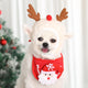 Adorable Christmas Tree Pom-Pom Hat