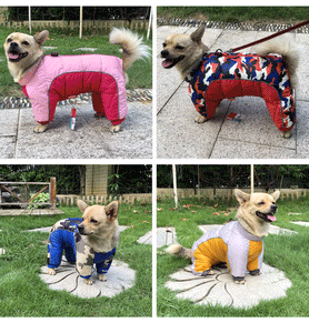 (🎄CHRISTMAS HOT SALE🎁)Dog Winter Coat (Size S to 6XL )