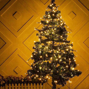 Twinkle Star Outdoor Christmas Tree Lights